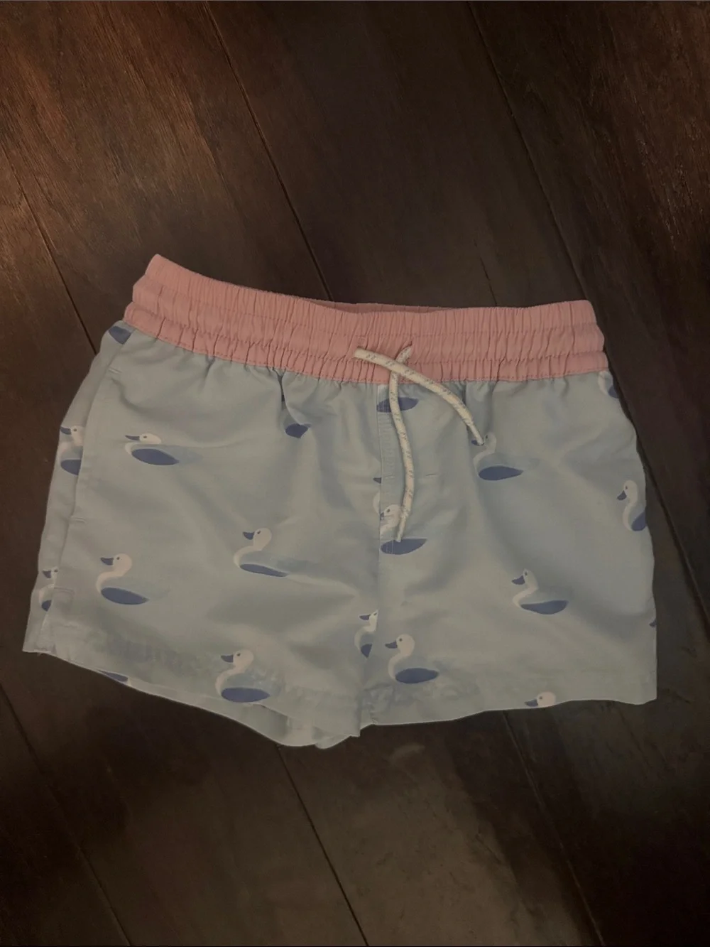 The Beaufort Bonnet Company Light Blue Swim Trunks with Pink Waistband